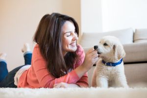 Organic Dog Treats