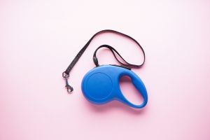 Premium Dog Harness